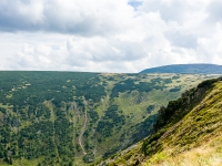 _DSC4664